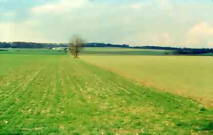 Duxford Field 1