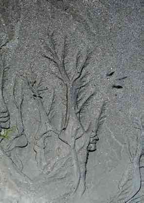 Little Big Horn's Dream